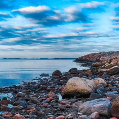 自动化周期拐点将至？本土、外资...